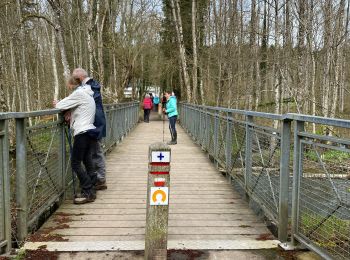 Trail Walking Wellin - Neupont, La Lesse 7 - Photo