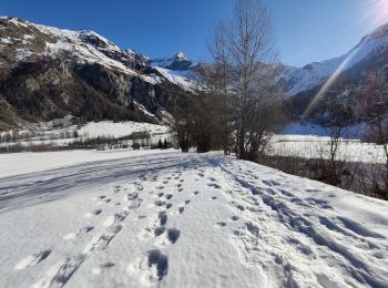 Tour Schneeschuhwandern Peisey-Nancroix - parcours raquette cascade de glace - Photo