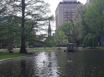 Tocht Stappen Onbekend - Balade au Public Garden à Boston  - Photo