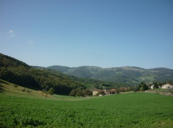 Randonnée A pied Yzeron - La Marmite du Diable - Photo