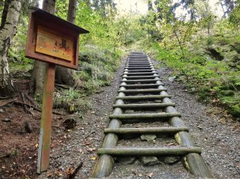 Tocht Te voet Naila - Rundweg-König-David US21 - Photo