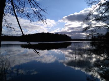 Tocht Te voet Angermünde - Uckermärker Landrunde - Photo