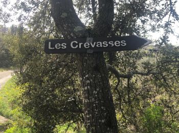 Trail Walking Chantemerle-lès-Grignan - Les Crevasses de Chantemerle lés Grignan Grignan - Photo