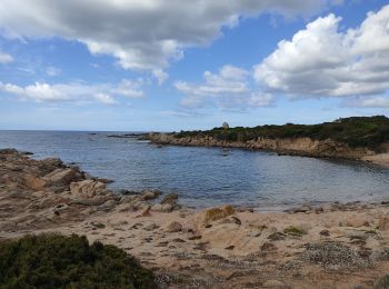 Tocht Stappen Figari - Punta Di Ventilegne - Photo