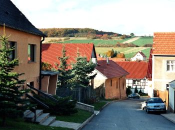 Tour Zu Fuß Sangerhausen - Sangerhausen Lengefeld Morungen - Photo