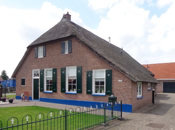 Tocht Te voet Staphorst - WNW Vechtdal -Staphorst - gele route - Photo