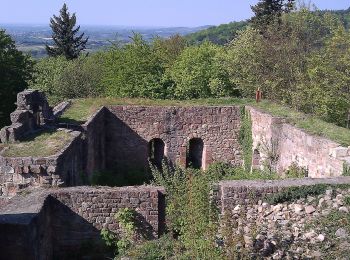 Randonnée A pied Herbolzheim - Bleichheim Hubertuswinkel - Vogtskreuz - Photo