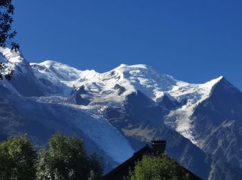 Tocht Stappen Chamonix-Mont-Blanc - CHAMONIX ... le chalet de la Floria. - Photo