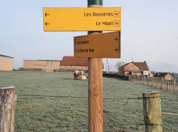 Tocht Stappen Montmort - RANDO Montmort Le Mont - Photo