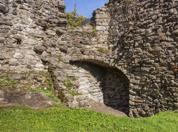 Tour Zu Fuß Ilanz/Glion - Rueun - Pigniu - Photo