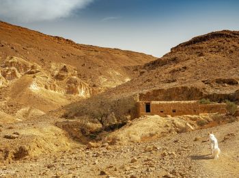 Percorso A piedi מועצה אזורית ערבה תיכונה - דרך הבשמים - Photo