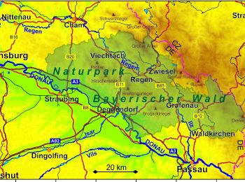 Percorso A piedi Kirchberg i.Wald - Rundweg Zell 13 - Photo