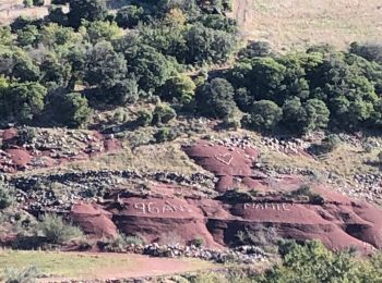 Excursión Senderismo Lacoste - 20211116 boucle au départ du Mas Audran - Photo