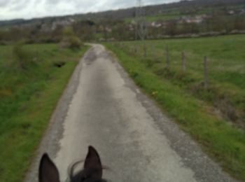 Trail Horseback riding Rochefort - départ navaugle vers serinchamps - Photo