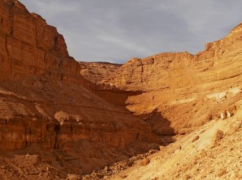 Percorso A piedi מועצה אזורית ערבה תיכונה - IL-14280 - Photo