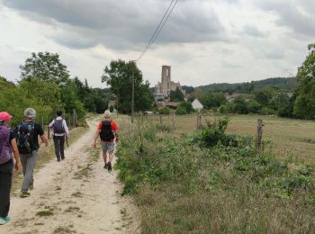 Trail Walking Montigny-sur-Loing - Montigny sur loing _ Nemours  - Photo