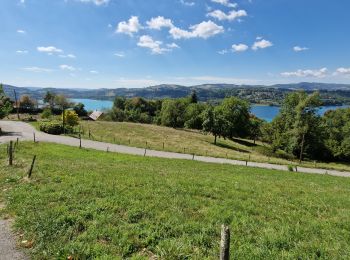 Trail Walking Aiguebelette-le-Lac - Savoie_Aiguebelette_Circuit_LesAllemands - Photo