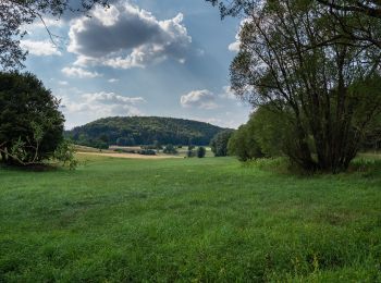 Tocht Te voet Weismain - Kaspauer Rundweg - Photo