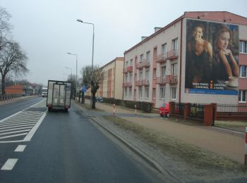 Excursión A pie Zwoleń - Zwoleń PKS - rzeka Wisła - Photo