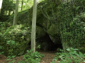 Tocht Te voet Etzelwang - Rundwanderweg 4 Etzelwang - Tabernackel - Rupprechtstein - Photo