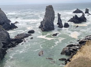 Excursión Senderismo Sauzon - Belle île les Poulains grand phare 18 mai 2022 CA  - Photo