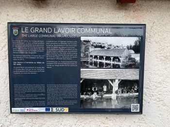 Tour sport Souppes-sur-Loing - Château Landon es et ff - Photo