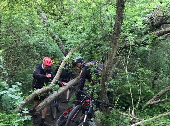 Excursión Bici de montaña Visé - 20190515 Yeyette chez Mijo  - Photo