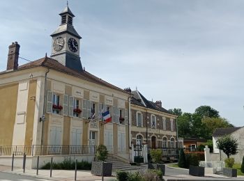 Tocht Stappen Montreuil-aux-Lions - Montreuil-aux-Lions du 20-07-2024 - Photo