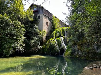 Tocht Stappen Montperreux - La source bleue et sa grande cascade à Montperreux  - Photo