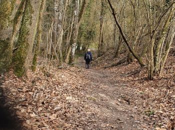 Trail Walking Naveil - Mondétour - Photo