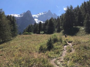 Trail Walking La Grave - Lac du Puy Vachier - Photo