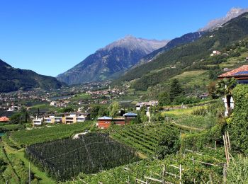 Tour Zu Fuß Tirol - Weinweg - Photo