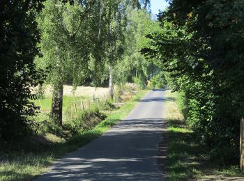 Trail On foot Baunatal - Eco Pfad Großenritte - Photo
