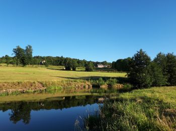 Trail Walking Mazet-Saint-Voy - Baignade du moulin de Boyer - Photo