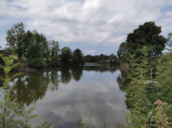 Trail Walking Apremont - Les 3 Châteaux d'Apremont - Photo