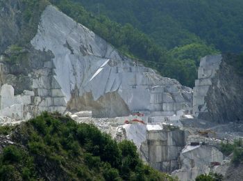 Tour Zu Fuß Carrara - IT-195 - Photo