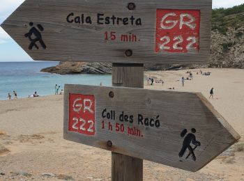 Trail Walking Capdepera - cala Mesquida - Photo