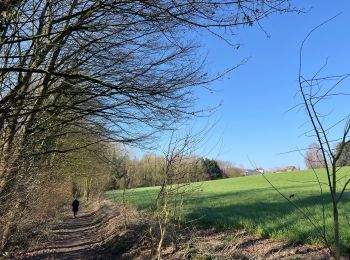 Trail sport Anderlecht - De Erasme à Gaasbeek - Photo