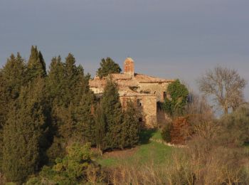 Trail On foot Pienza - Forteguerri - Photo