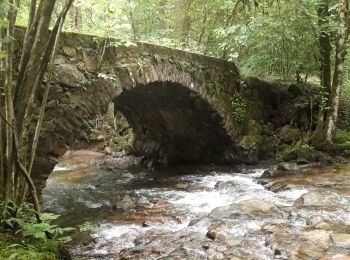 Excursión Senderismo Servance-Miellin - Belfahy depuis Miellin - Photo