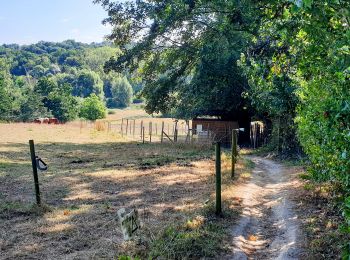 Trail Walking Rixensart - Bourgeois - Ohain - Lasne - Photo
