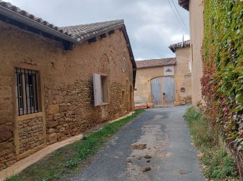 Tour Wandern Denicé - Dénicé boucle 11km - Photo