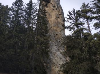 Randonnée Raquettes à neige Aussois - AUSSOIS monolithe de Sommières :aller - Photo