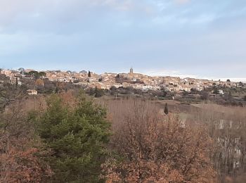 Randonnée Marche Puimoisson - PUIMOISSON RIEZ o n  - Photo