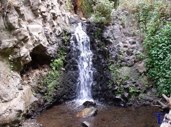 Randonnée A pied Telde - Barranco de los Cernícalos - Photo