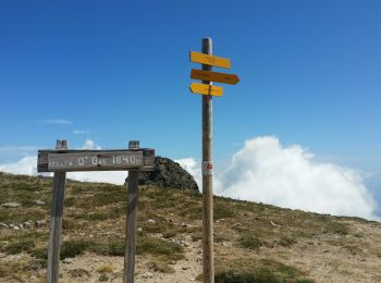 Trail Walking Ghisoni - Punta della Cappella - Photo