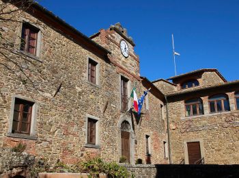 Tour Zu Fuß Civitella in Val di Chiana - IT-111 - Photo