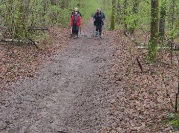 Trail Walking Gernelle - gernelle mardi  - Photo