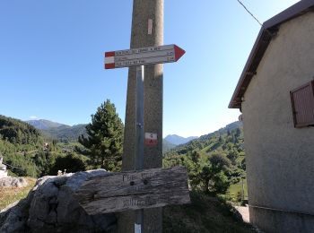 Tour Zu Fuß Morterone - Sentiero dei Grandi Alberi - anello principale - Photo