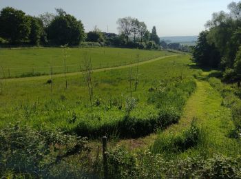 Trail Walking Ittre - Promenade Piedescaus  - Photo